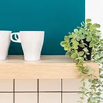 Tiny Cozy In The Center